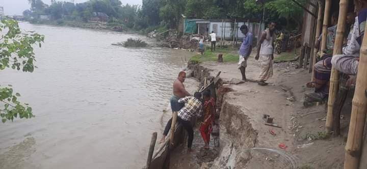 পদ্মায় আবারও ভাঙন, মহা প্রকল্পের আশায় নদী ভাঙ্গন বাসী