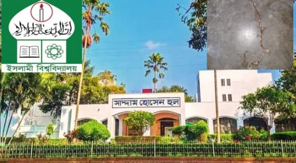 মধ্যরাতে ইবির সাদ্দাম হোসেন হলে সাপ আতঙ্ক 